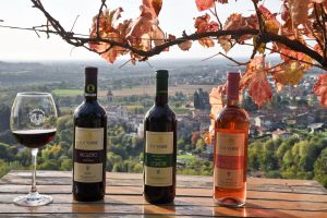 vini biologici Ca' Verde Bergamo